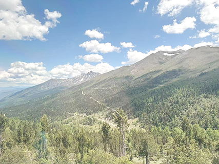 6月11日,白馬雪山國家級自然保護區景色。(中新社記者 楊程晨 攝)