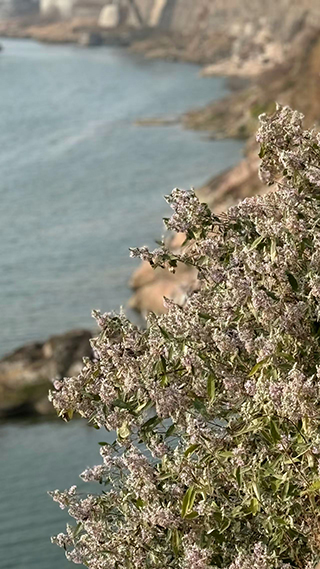 河堤上俯視漢江(圖片選自網絡)