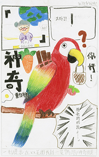 鸚鵡 聖家學校 五年級 林家滿