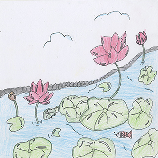 夏日荷花 福建學校 二年級 趙韻如