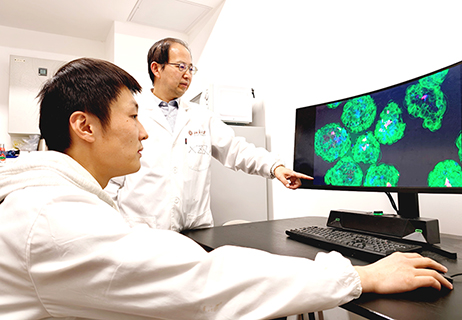 ◎ 北京大學未來技術學院副院長席建忠教授(右)與學生利用微腫瘤模型驗證iVAC激活T細胞及腫瘤殺傷效果。